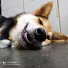 guenmeiijn