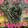 user5230332175527