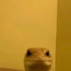 cyanide._.soup