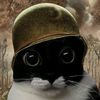 Monkey D Juicy Variety Channel