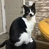 junionthebeatt