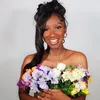 itsbriplus2