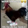 bo_the_ho3