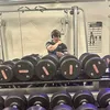 danielshahollari
