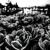 unknowuser0701