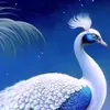 lotussssssssssssssss