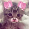 k1tkat2224