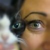 mel.miaou