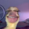 lmcnear