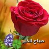 أصحراوي