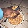slpsispolluted