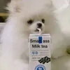 ice.keki