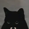 _cindae_