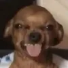 avbenturous