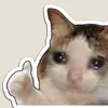 meowih0
