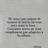 gout_de_diamant