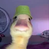 cornbreadjojo