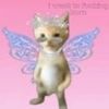 angry.kitten23