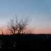 lafouinedu883