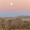 iwillnotreply3
