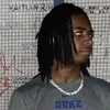 dukeduke604