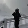 iluvbrowntiktok