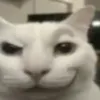 thecourtneyedit