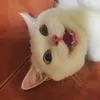 trantuonglinh