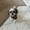 justin.nguyen7