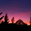 nature__loover