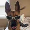 bellichamm