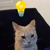 elbiiii