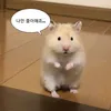 jmnopqrst