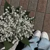 moonlvrr7