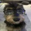 deja_tm