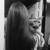 dolceaiida_