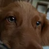 aaaaakddak