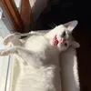 atyourmomscasa
