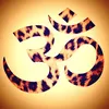 youngprincesscheetah