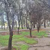lulugigi71