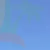 1245789dddd