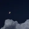 musicccccccccc_