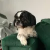 viatacubenji