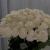 sahra17.5