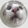 skyjalz