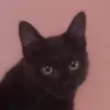 julianacano