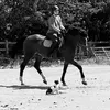 hanne.st