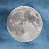 _tchikita120