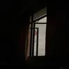 wp0lzm