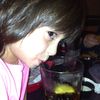 sarah.sheiner